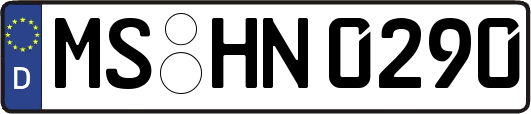 MS-HN0290