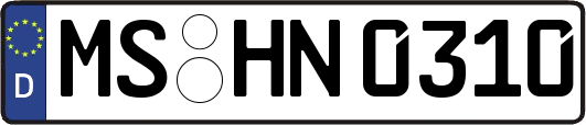 MS-HN0310