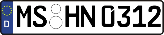 MS-HN0312