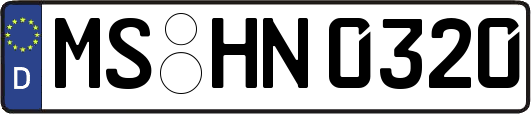 MS-HN0320