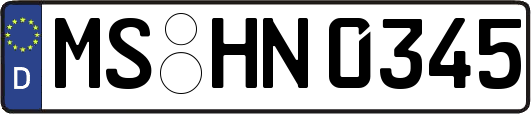 MS-HN0345