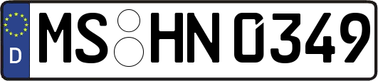 MS-HN0349