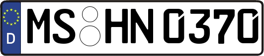 MS-HN0370