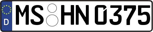 MS-HN0375