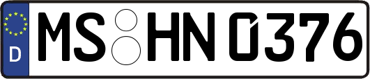 MS-HN0376