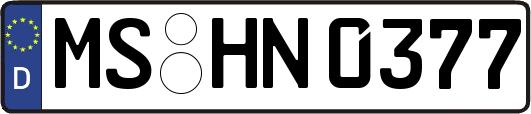 MS-HN0377