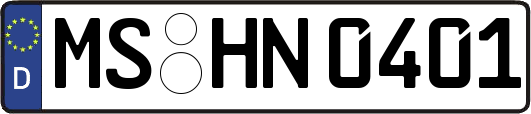 MS-HN0401