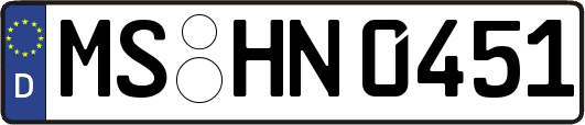 MS-HN0451