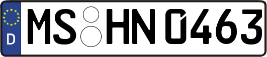 MS-HN0463