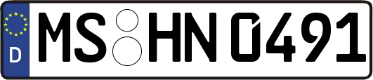 MS-HN0491