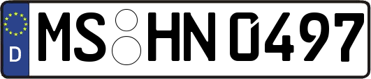MS-HN0497
