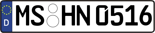 MS-HN0516