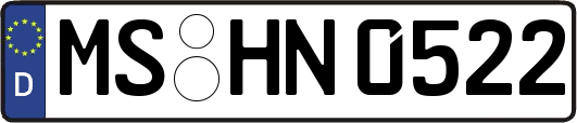 MS-HN0522