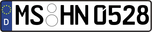 MS-HN0528