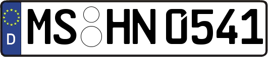 MS-HN0541