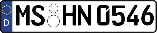 MS-HN0546