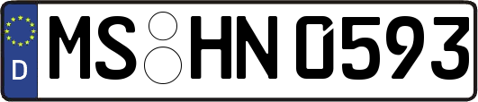 MS-HN0593