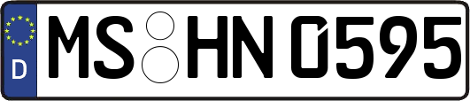MS-HN0595