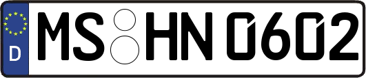MS-HN0602