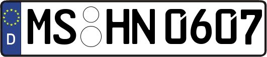 MS-HN0607