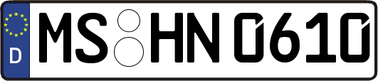 MS-HN0610