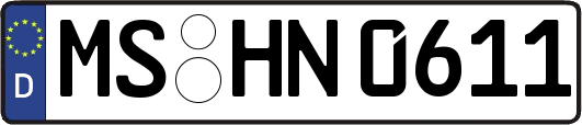 MS-HN0611