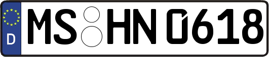 MS-HN0618