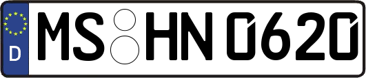 MS-HN0620