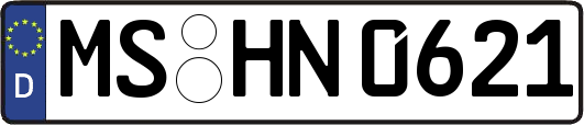 MS-HN0621