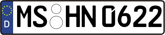 MS-HN0622