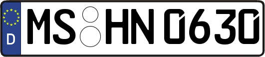 MS-HN0630
