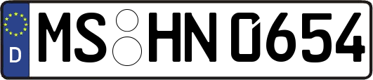 MS-HN0654