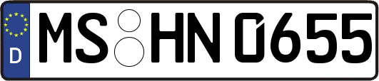MS-HN0655