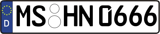 MS-HN0666