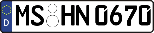 MS-HN0670