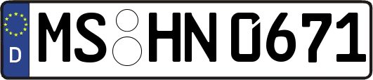 MS-HN0671