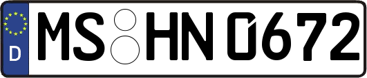 MS-HN0672