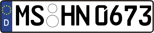 MS-HN0673
