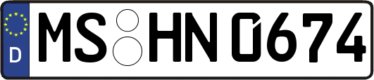 MS-HN0674
