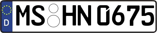 MS-HN0675