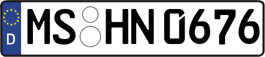 MS-HN0676