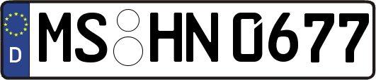MS-HN0677