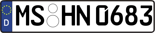 MS-HN0683