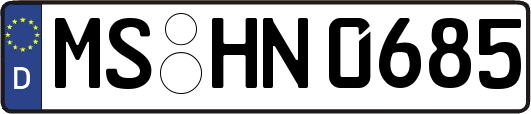 MS-HN0685