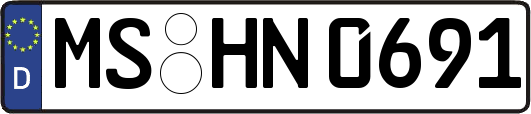 MS-HN0691