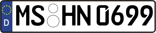 MS-HN0699