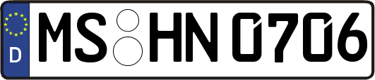 MS-HN0706