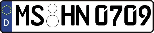 MS-HN0709