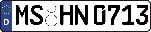MS-HN0713