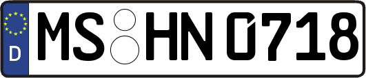 MS-HN0718